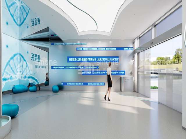 中山欧美分细 专线哪家好